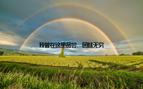 我曾在这里品尝, 回味无穷