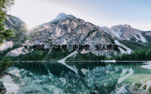 例如, 学生票、老年票、军人票等