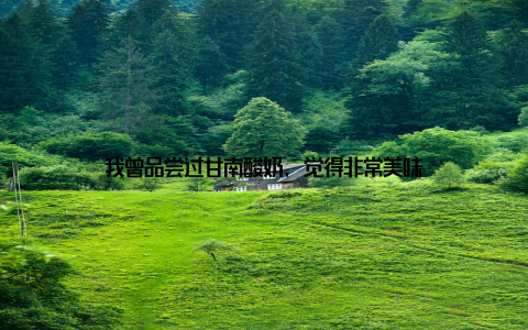我曾品尝过甘南酸奶, 觉得非常美味