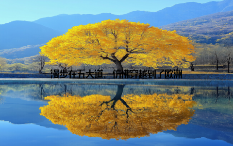 漫步在五大道, 仿佛穿越到了欧洲