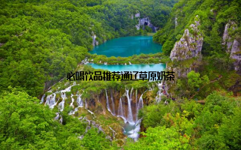 必喝饮品推荐通辽草原奶茶