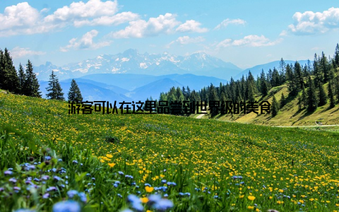 游客可以在这里品尝到世界级的美食
