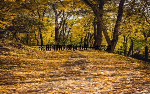 秦淮河畔的美食也是一大亮点