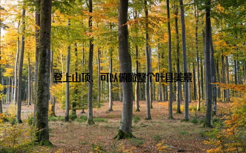 登上山顶, 可以俯瞰整个叶县美景