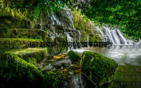快来哈尔滨, 开启你的夏季旅程吧!