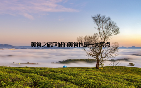 美食之旅应城的美食也是一大亮点