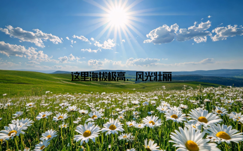 这里海拔极高, 风光壮丽
