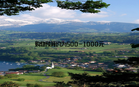 购物预算约为500-1000元