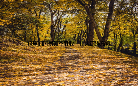 这里的风景美不胜收, 让人流连忘返