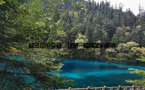 梯田层层叠叠, 犹如一幅精美的画卷
